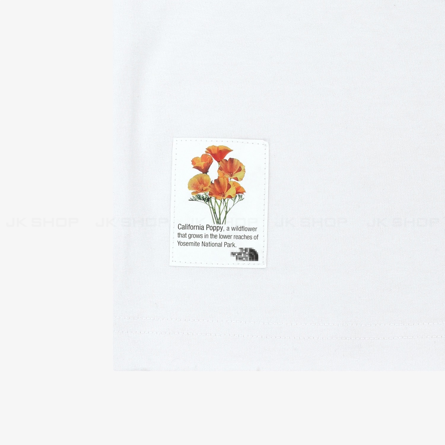 605510489_1275151424652882_6913633920747013250_n